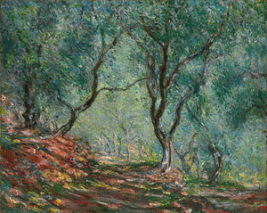 Moreno Bahçesi’nde Zeytin Ağaçları, 1884